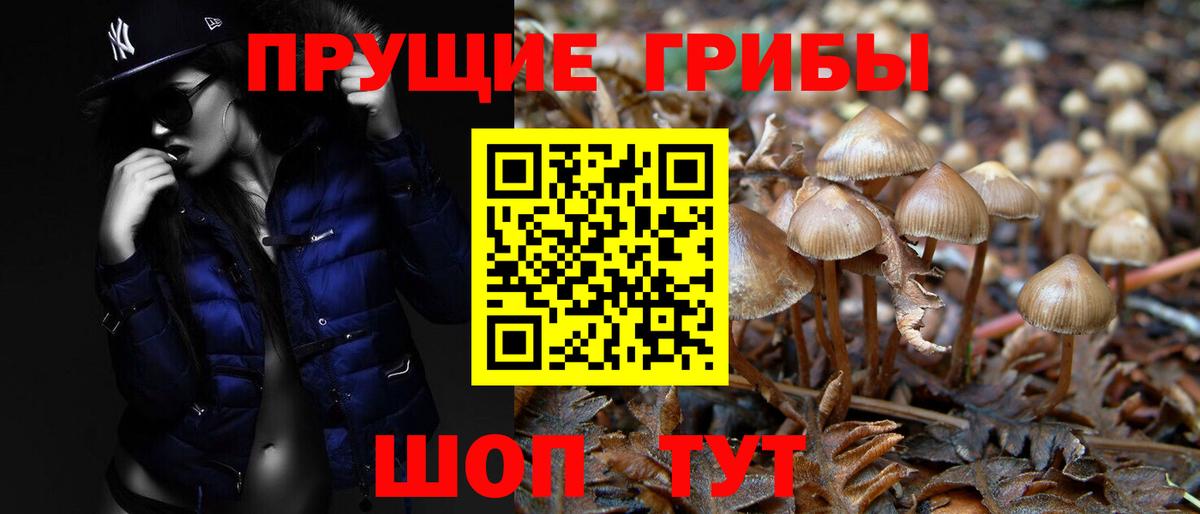 Галлюциногенные грибы мухоморы  Псилоцибиновые грибы Psilocybine cubensis  Вход с VPN  Урус-Мартан 